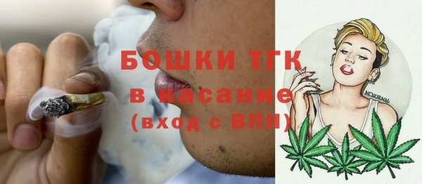 твердый Богородицк