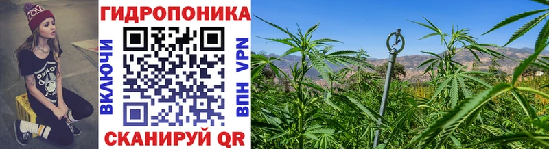 Канабис OG Kush  Купить где  Светогорск 